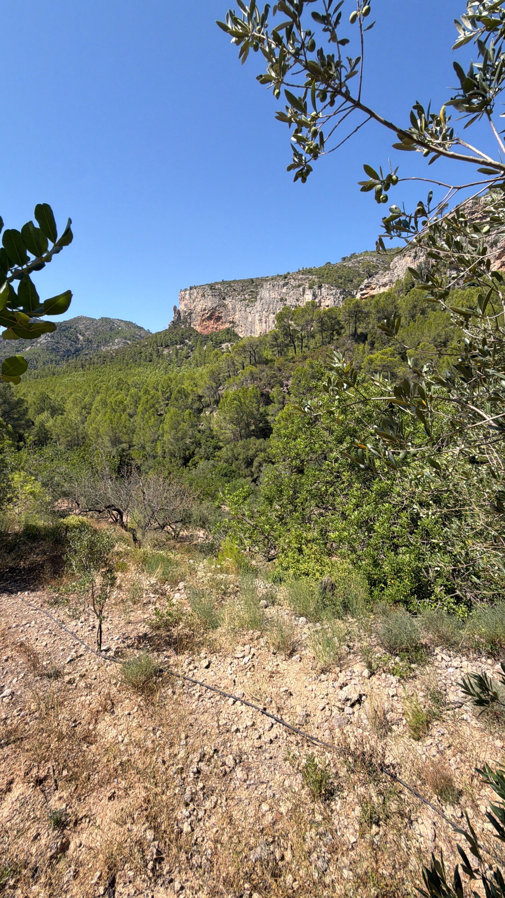 ++ Finca rustical en Vandellos ++ - Image 28